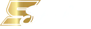 5Stakes logo